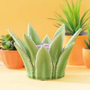 Scentsy Aloe Vera Full Size Warmer - New in Box